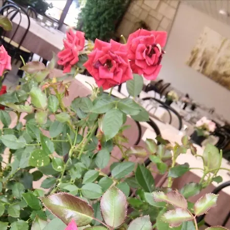 Hotel Autostello Castellana Grotte